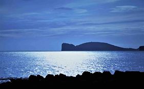 Alghero Sun & Sea - Spiaggia A 50 Metri