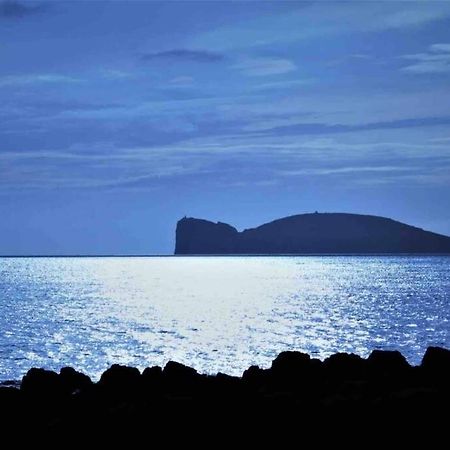 Alghero Sun & Sea - Spiaggia A 50 Metri Exterior foto