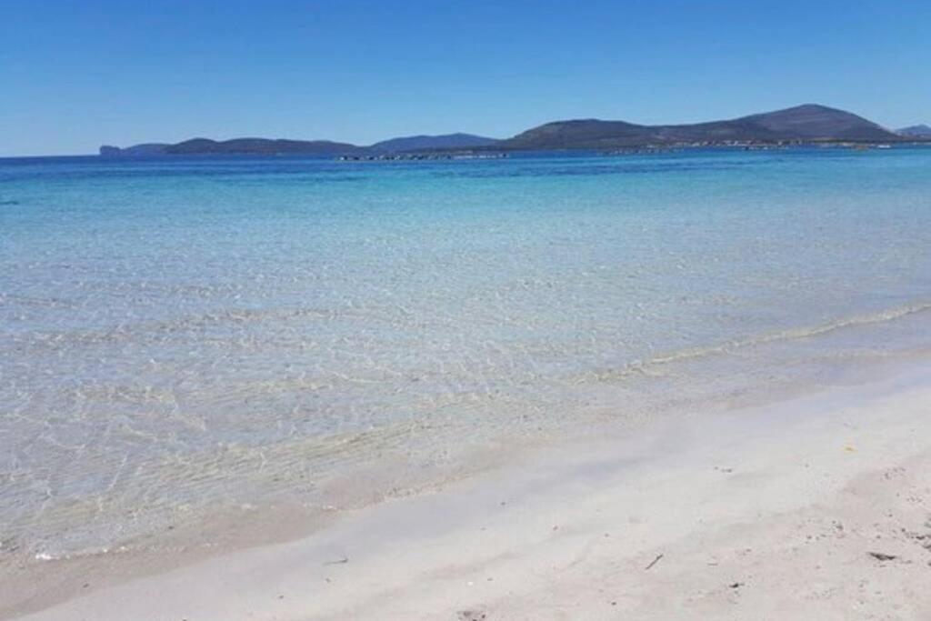 Alghero Sun & Sea - Spiaggia A 50 Metri Exterior foto